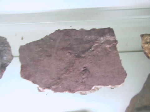 Have a free piece of Bell Island Iron ore for a souvenier 
