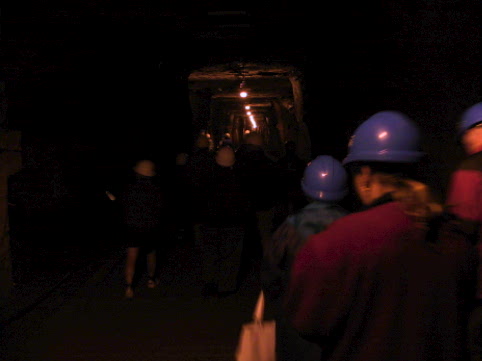 many people enjoy venturing deep into the mine