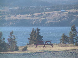 view to the ocean