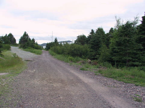Trailway intersects with Brien's Road in Holyrood Conception Bay
